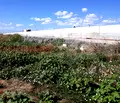 Снимка 5 — Парцел в Бургас, Ахелой