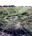 Парцел в Бургас, Ахелой