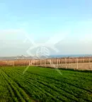 Парцел в Бургас, Ахелой