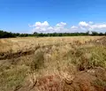 Снимка 3 — Парцел в Бургас, Ахелой
