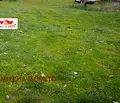 Снимка 2 — Парцел в Бургас, Ахтопол