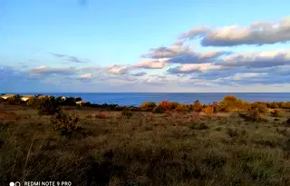 Парцел в Бургас, Царево