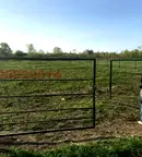 Парцел в Бургас, Царево
