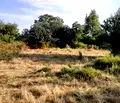 Снимка 5 — Парцел в Бургас, Царево