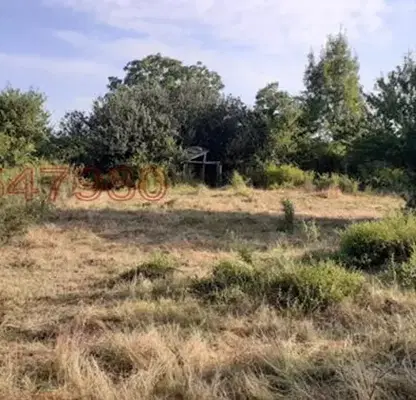 Снимка 5 — Парцел в Бургас, Царево