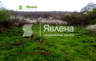 Парцел в Бургас, Царево