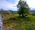 Снимка 5 — Парцел в Бургас, Царево
