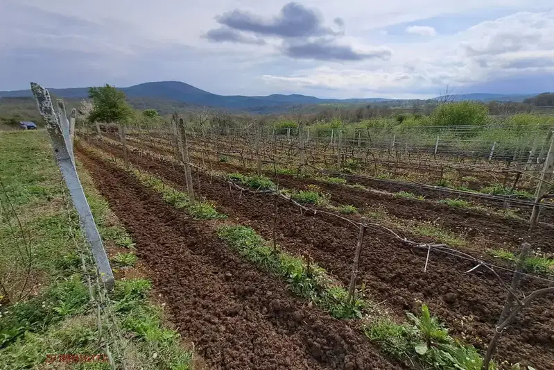 Plot in Oblast Burgas, Carevo