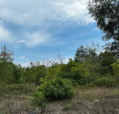 Снимка 4 — Парцел в Бургас, Царево