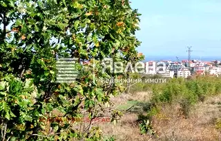 Парцел в Бургас, Царево