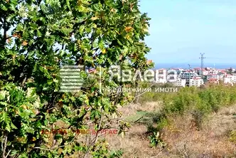 Парцел в Бургас, Царево