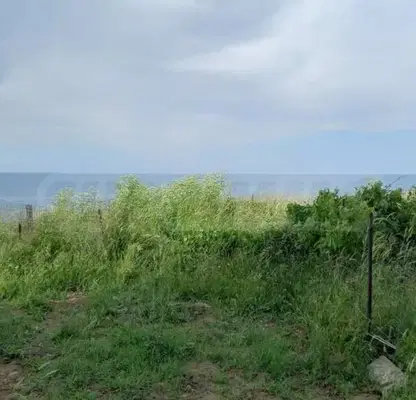 Снимка 5 — Парцел в Бургас, Царево