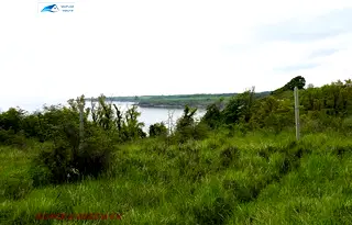 Парцел в Бургас, Царево