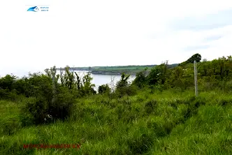 Парцел в Бургас, Царево