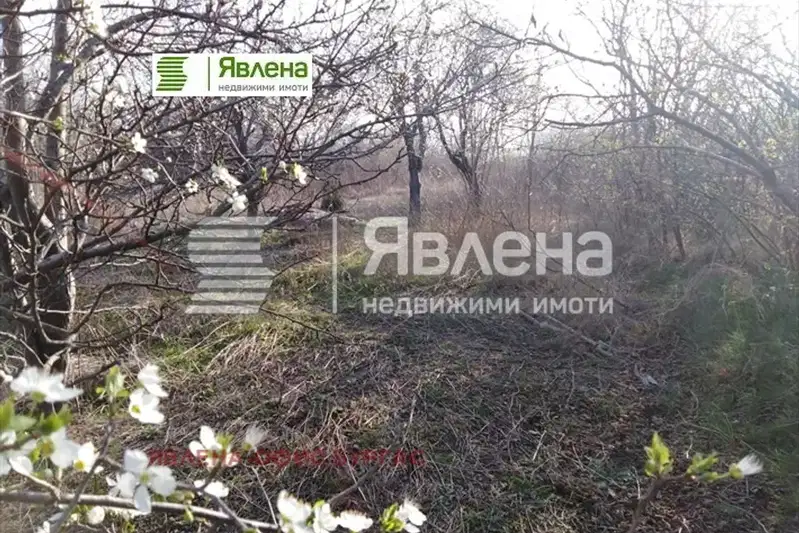 Парцел в Бургас, Царево
