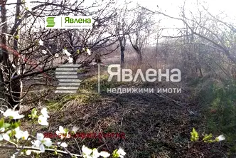 Парцел в Бургас, Царево