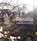 Парцел в Бургас, Царево