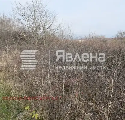 Снимка 5 — Парцел в Бургас, Царево