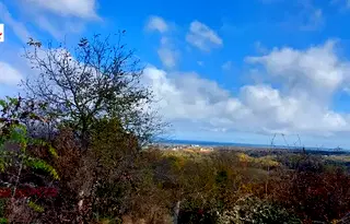 Парцел в Бургас, Царево