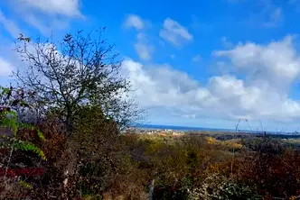 Парцел в Бургас, Царево