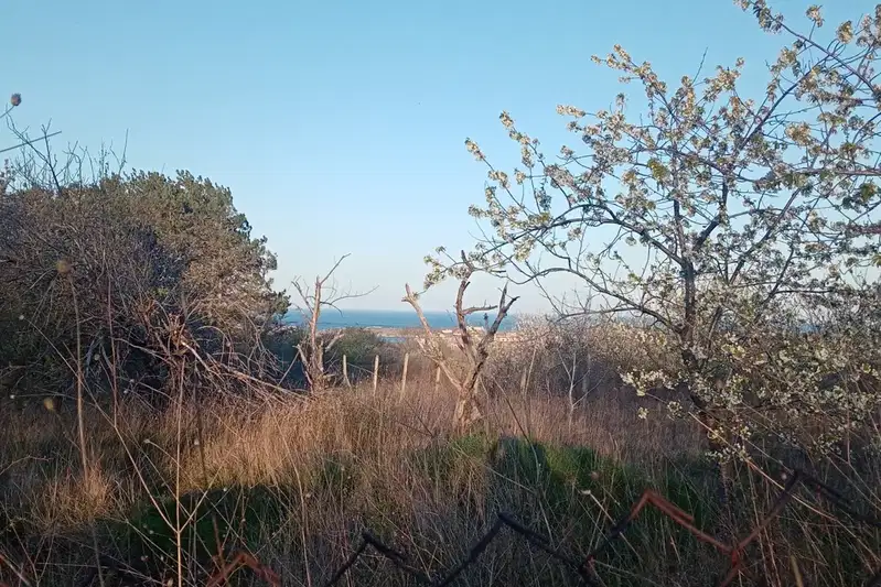 Парцел в Бургас, Царево