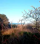 Парцел в Бургас, Царево