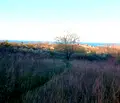 Снимка 5 — Парцел в Бургас, Царево