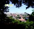 Снимка 4 — Парцел в Бургас, Царево