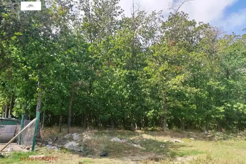 Plot in Oblast Burgas, Carevo