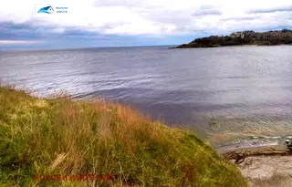 Парцел в Бургас, Царево