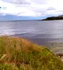 Парцел в Бургас, Царево