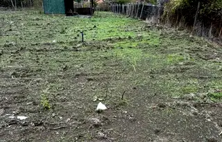 Парцел в Бургас, Царево