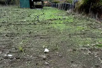 Парцел в Бургас, Царево