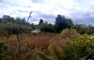 Парцел в Бургас, Царево