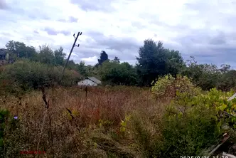Парцел в Бургас, Царево