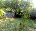 Снимка 4 — Парцел в Бургас, Царево