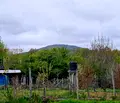 Снимка 3 — Парцел в Бургас, Царево