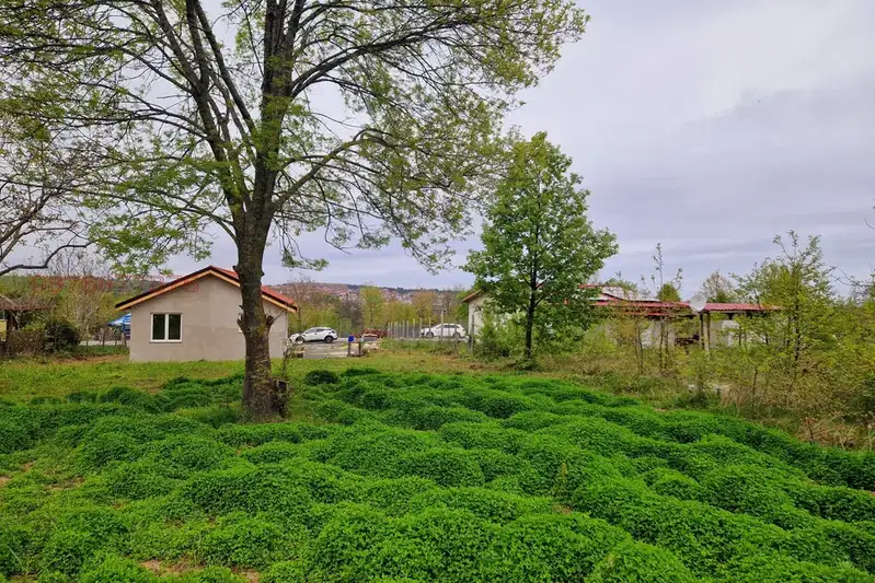 Plot in Oblast Burgas, Carevo
