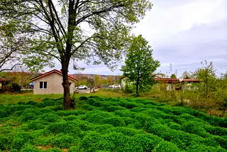 Парцел в Бургас, Царево
