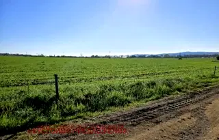 Парцел в Бургас, Черноморец