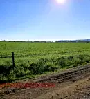 Парцел в Бургас, Черноморец
