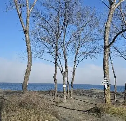 Photo 2 — Plot in Oblast Burgas, Chernomorec