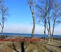 Снимка 3 — Парцел в Бургас, Черноморец