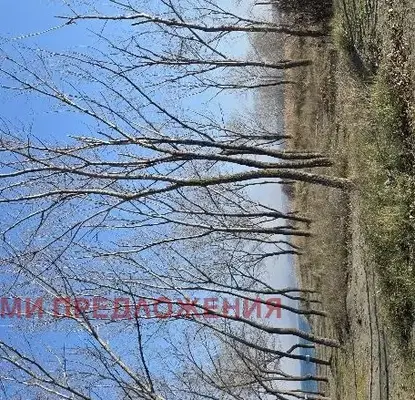 Photo 4 — Plot in Oblast Burgas, Chernomorec