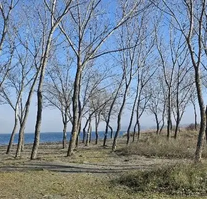 Photo 5 — Plot in Oblast Burgas, Chernomorec