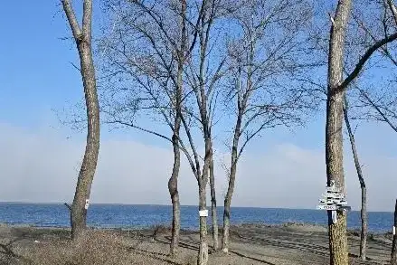 Plot in Oblast Burgas, Chernomorec