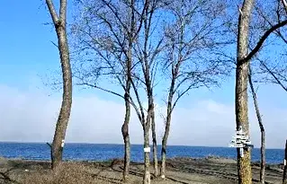 Парцел в Бургас, Черноморец