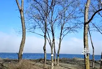 Парцел в Бургас, Черноморец