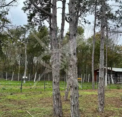 Photo 2 — Plot in Oblast Burgas, Chernomorec