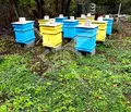 Снимка 3 — Парцел в Бургас, Черноморец